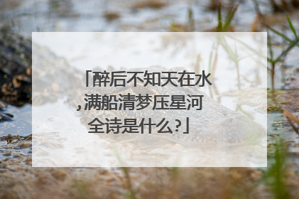 醉后不知天在水,满船清梦压星河全诗是什么?