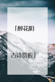 醉花阴 古诗赏析