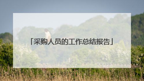 采购人员的工作总结报告