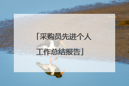 采购员先进个人工作总结报告