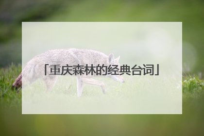 重庆森林的经典台词