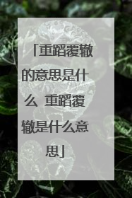 重蹈覆辙的意思是什么 重蹈覆辙是什么意思
