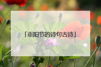 重阳节的诗句古诗