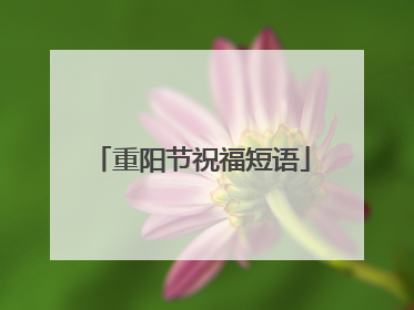重阳节祝福短语