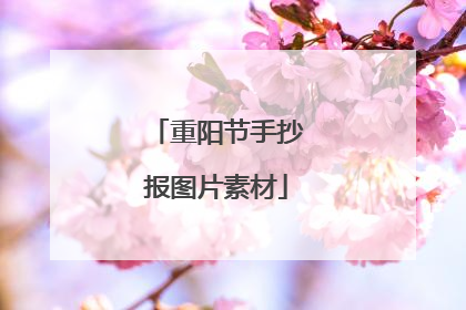 重阳节手抄报图片素材