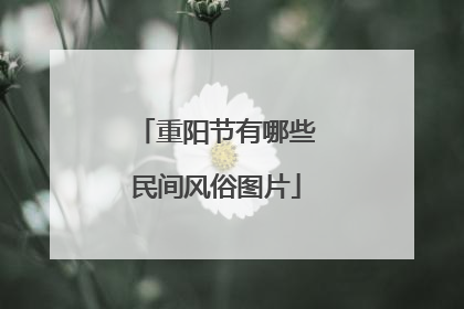 重阳节有哪些民间风俗图片