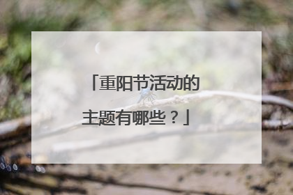 重阳节活动的主题有哪些?