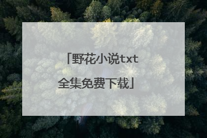 野花小说txt全集免费下载