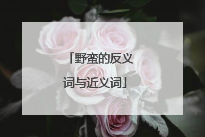 野蛮的反义词与近义词