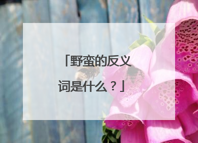 野蛮的反义词是什么？