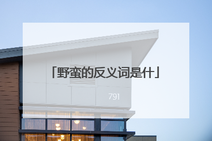 野蛮的反义词是什