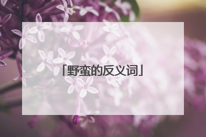 野蛮的反义词