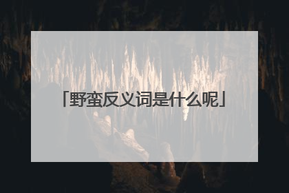 野蛮反义词是什么呢