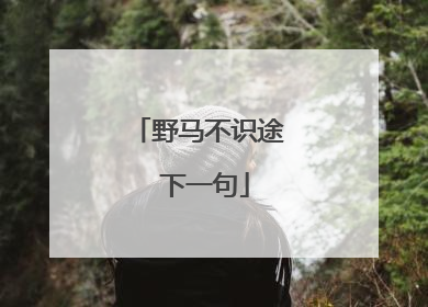 野马不识途 下一句