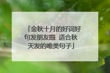 金秋十月的好词好句发朋友圈 适合秋天发的唯美句子