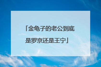 金龟子的老公到底是罗京还是王宁