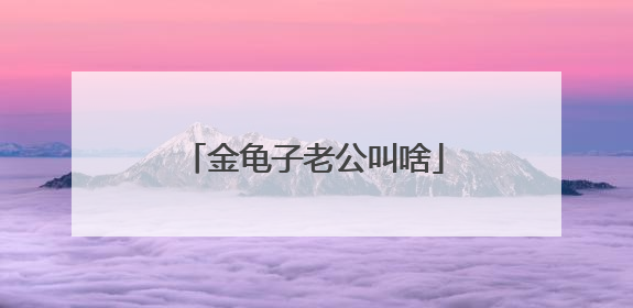 金龟子老公叫啥