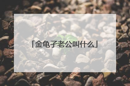 金龟孑老公叫什么