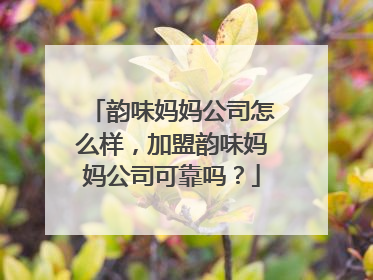 韵味妈妈公司怎么样，加盟韵味妈妈公司可靠吗？