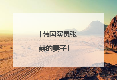 韩国演员张赫的妻子