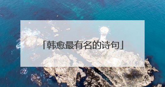 韩愈最有名的诗句