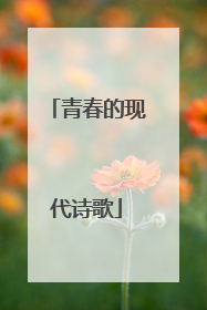 青春的现代诗歌