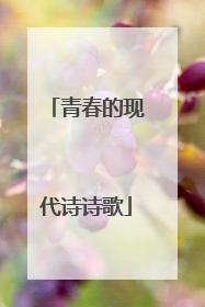 青春的现代诗诗歌
