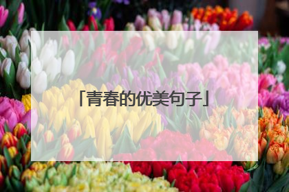 青春的优美句子