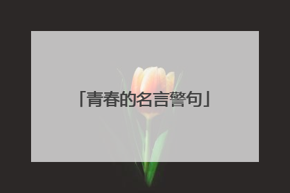 青春的名言警句