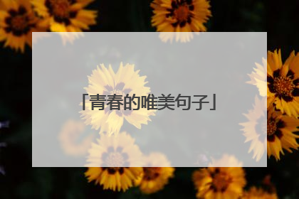 青春的唯美句子
