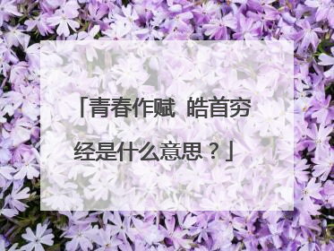 青春作赋 皓首穷经是什么意思?