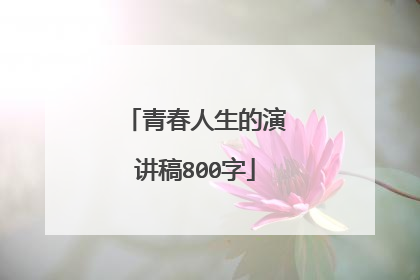 青春人生的演讲稿800字