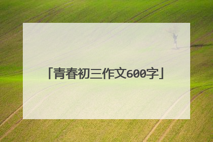 青春初三作文600字