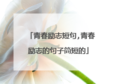 青春励志短句,青春励志的句子简短的