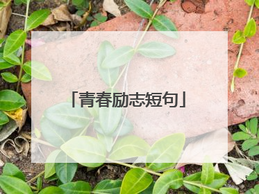 青春励志短句