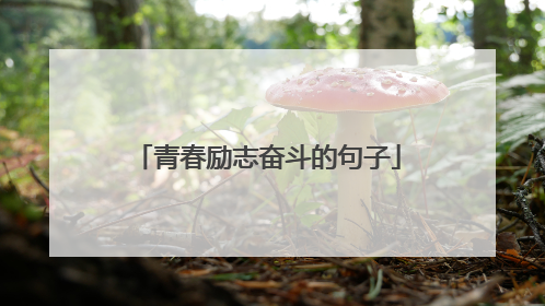 青春励志奋斗的句子