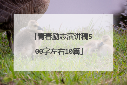青春励志演讲稿500字左右10篇