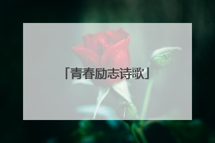青春励志诗歌