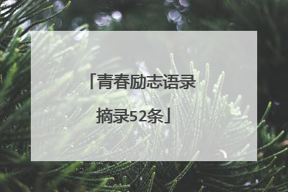 青春励志语录摘录52条