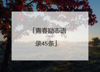 青春励志语录45条