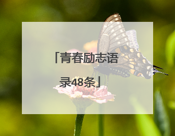 青春励志语录48条
