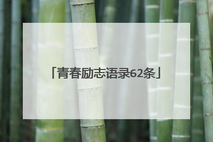 青春励志语录62条