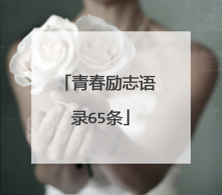 青春励志语录65条