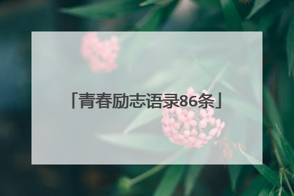 青春励志语录86条