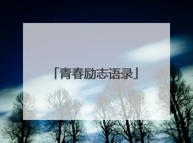 青春励志语录