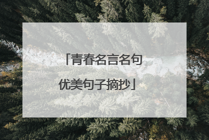 青春名言名句优美句子摘抄