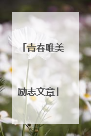 青春唯美励志文章