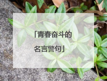 青春奋斗的名言警句