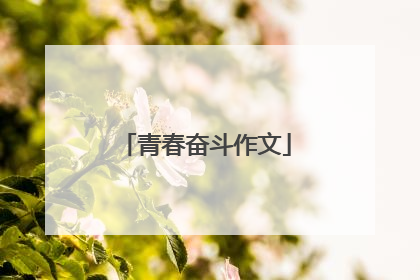 青春奋斗作文