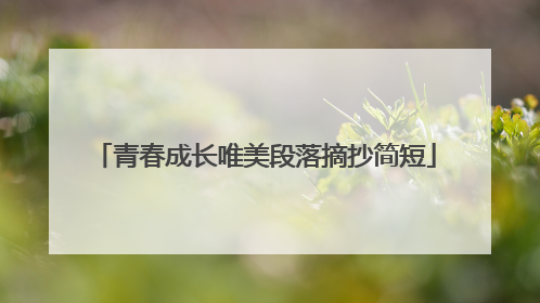 青春成长唯美段落摘抄简短